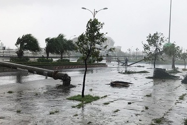 Khắc phục tình trạng hàng loạt địa phương mất điện vì bão Damrey