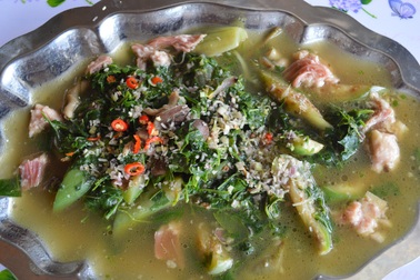 Cà đắng lá mì Pleiku 