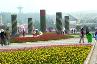 Cháy tour du lịch nước ngoài dịp Tết