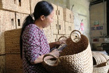 Ninh Bình: Nông dân đan bèo tây xuất ngoại kiếm tiền triệu