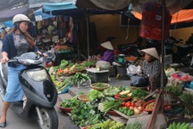 Hội An: Rau xanh tăng giá gấp 2-3 lần sau lũ