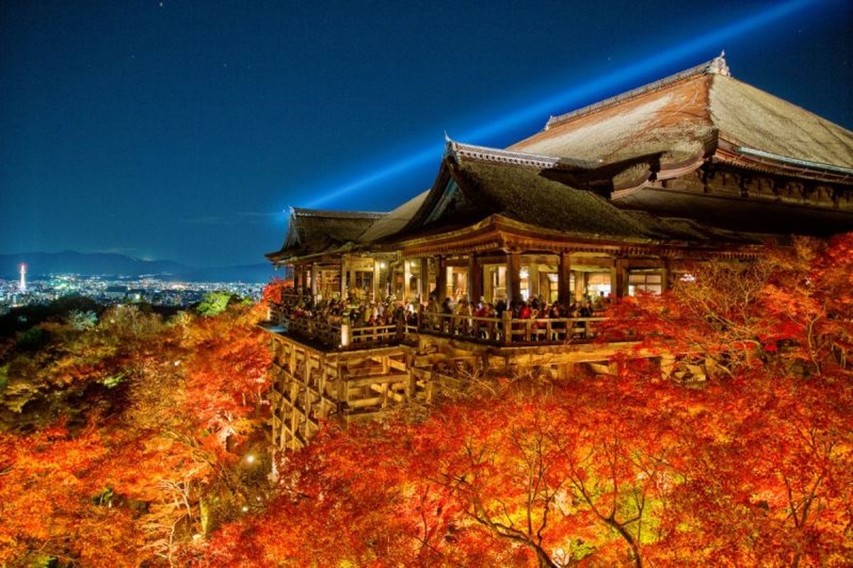 Lễ hội ánh sáng huyền ảo Higashiyama Hanatoro - 5 Lễ hội ánh sáng huyền ảo Higashiyama Hanatoro - 5
