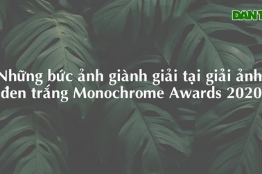 Những khoảnh khắc đẹp trầm mặc của Việt Nam tại giải ảnh đen trắng quốc tế
