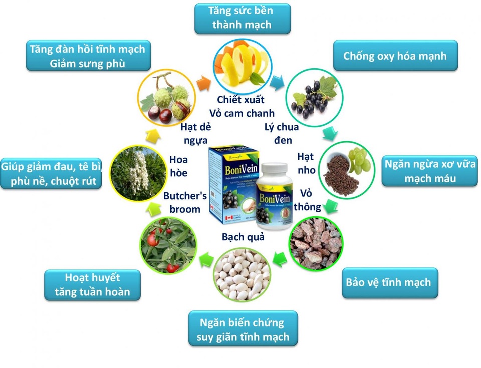 BoniVein – Giải pháp hỗ trợ từ Mỹ cho bệnh suy giãn tĩnh mạch - 2 BoniVein – Giải pháp hỗ trợ từ Mỹ cho bệnh suy giãn tĩnh mạch - 2