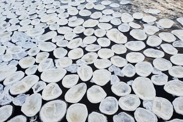 Kì lạ hiện tượng “bánh băng” tại Scotland