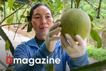 Bình đẳng giới và mô hình phụ nữ hiện đại, làm giàu trên quê hương