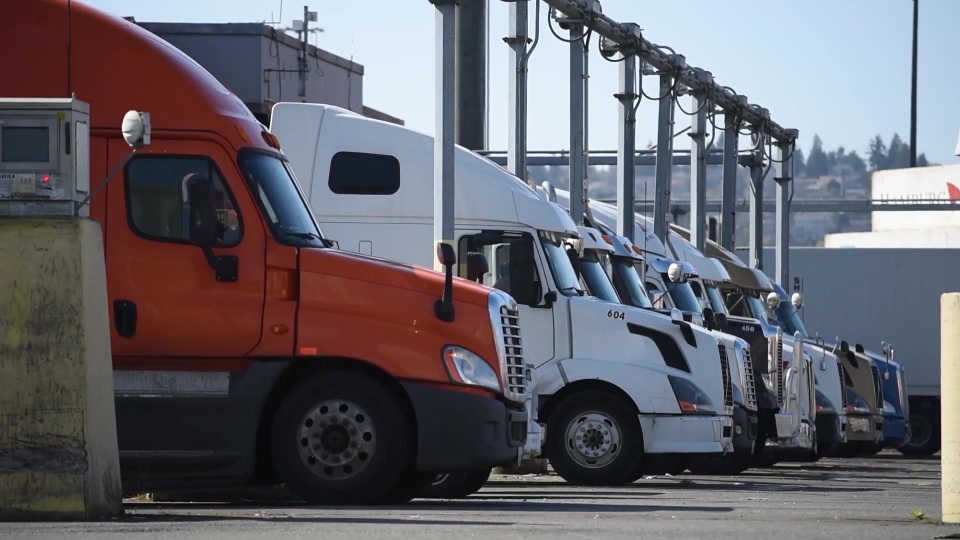 Cảng cạn Long Biên hoạt động đúng ngày EVFTA chính thức có hiệu lực - 4