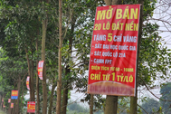 Nối sóng chung cư, giá đất nền có "nhân đôi, nhân ba"?