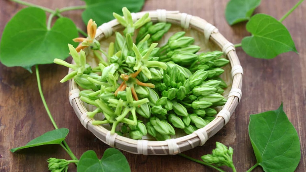 Công dụng đặc biệt của trà hoa thiên lý - 1 Công dụng đặc biệt của trà hoa thiên lý - 1