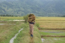 TPP: Góc nhìn "tỉnh táo" cho Việt Nam từ chuyên gia quốc tế