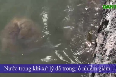 Nước Hồ Tây giảm ô nhiễm khi xử lý bằng công nghệ Nhật Bản