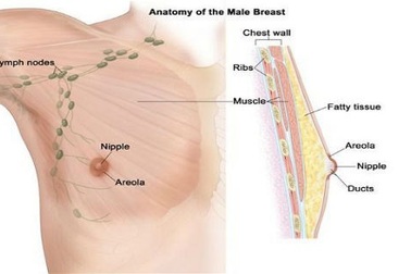 Những sai lầm phổ biến về ung thư vú