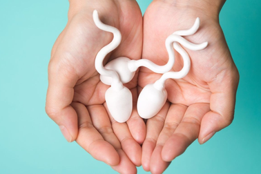 Rượu có "giết chết" tinh trùng không?