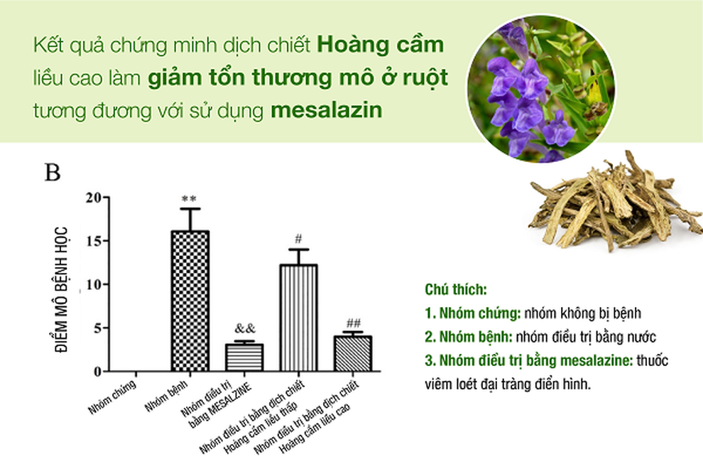 Anvida đại tràng sản phẩm tốt cho người mắc bệnh viêm đại tràng - 3 Anvida đại tràng sản phẩm tốt cho người mắc bệnh viêm đại tràng - 3