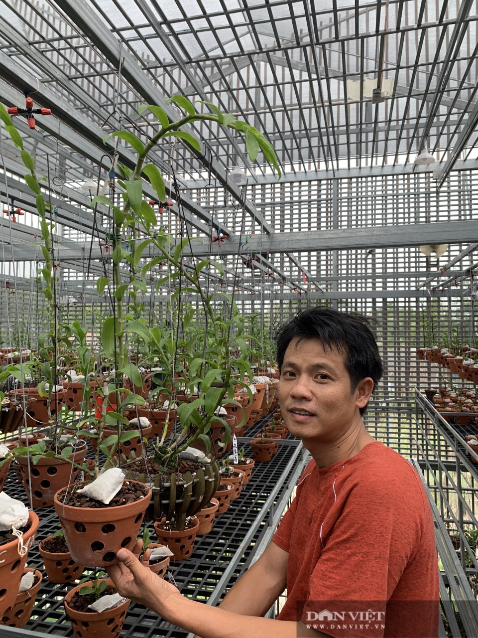 Vườn trồng toàn lan đột biến trị giá hơn 60 tỷ đồng ở Cần Thơ - 3 Vườn trồng toàn lan đột biến trị giá hơn 60 tỷ đồng ở Cần Thơ - 3