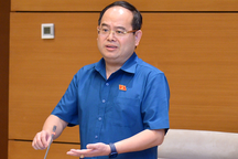 Phó Bí thư Đồng Nai: "Vì dân vì nước, bị kỷ luật cũng phải chịu thôi"