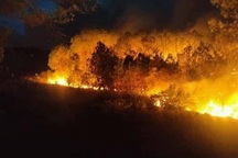 Cháy rừng thông hơn 30 năm tuổi, cả nghìn người tham gia dập lửa