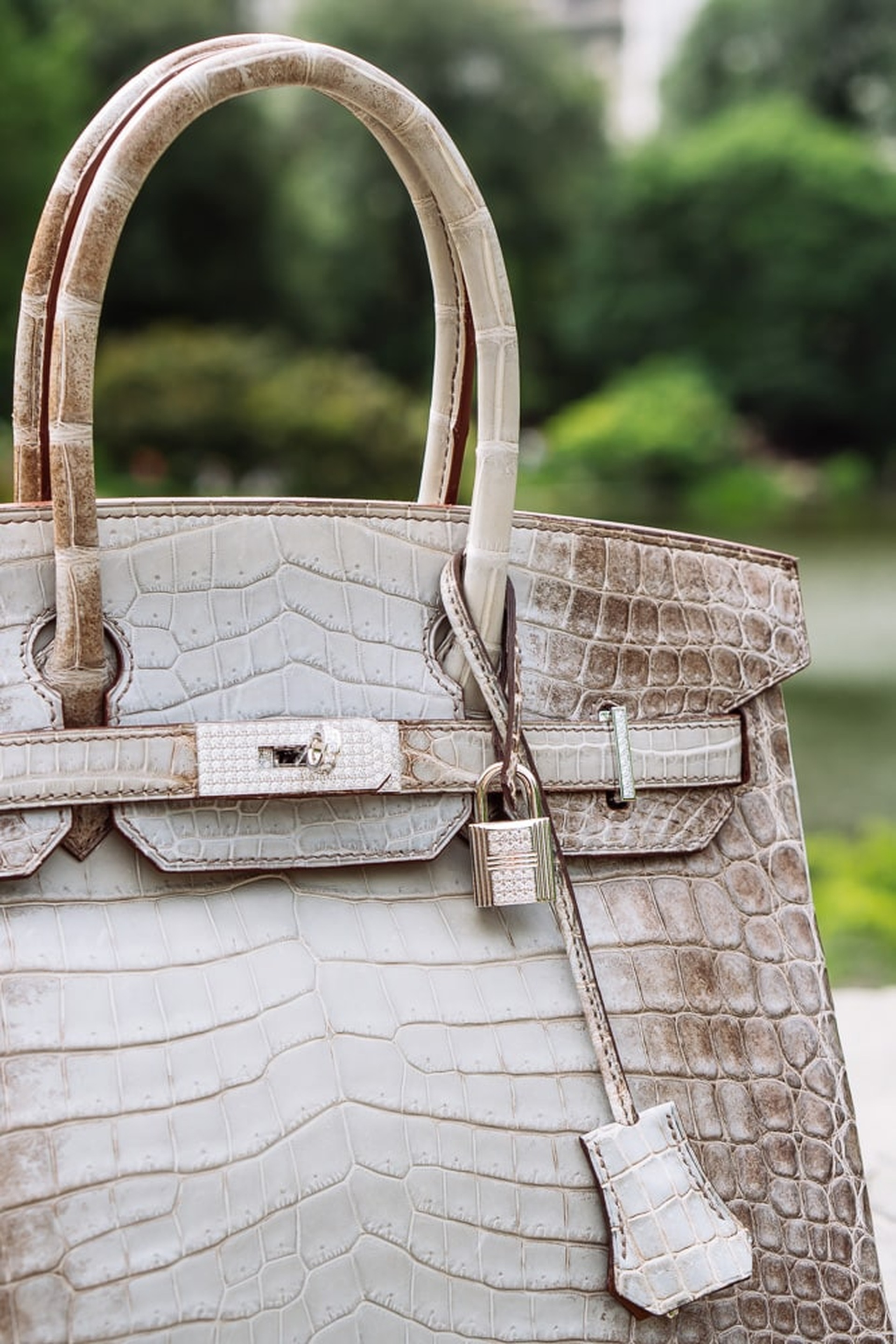 Túi Hermès da cá sấu giá tiền tỷ khiến giới siêu giàu săn lùng - 11 Túi Hermès da cá sấu giá tiền tỷ khiến giới siêu giàu săn lùng - 11