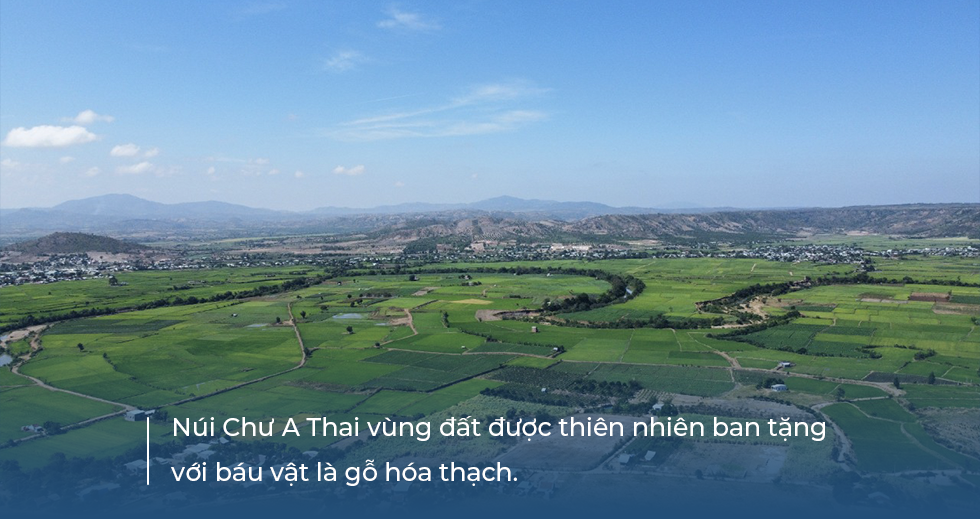 Bí ẩn về vương quốc gỗ hóa thạch trên cao nguyên Gia Lai - 3 Bí ẩn về vương quốc gỗ hóa thạch trên cao nguyên Gia Lai - 3