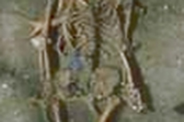 Phát hiện di cốt người nguyên thủy tại Tuyên Quang 