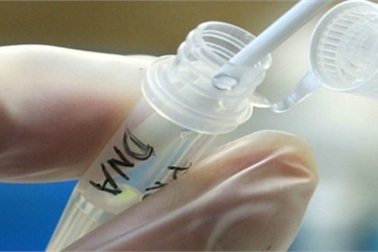 Một cái thai - 3 người đàn ông trong "diện nghi ngờ"