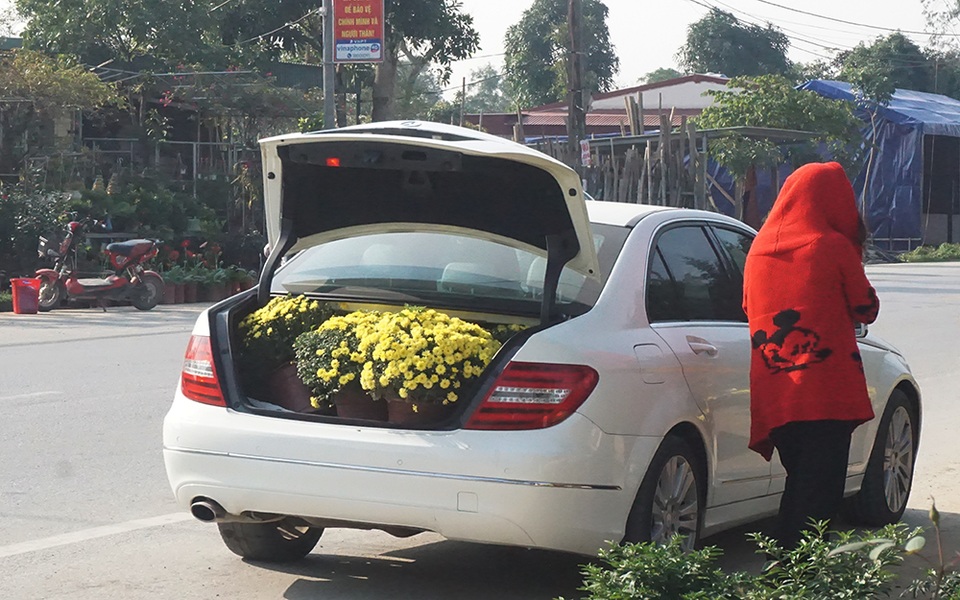 Hoa Tết giá mềm, người dân tranh thủ đi chọn sớm - 12 Hoa Tết giá mềm, người dân tranh thủ đi chọn sớm - 12