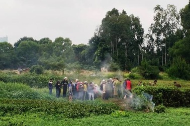 Đi làm đồng, phát hiện xác chết đang phân hủy