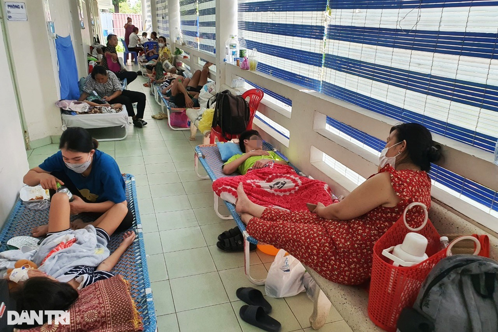 TPHCM: 29 ca tử vong vì sốt xuất huyết, 75% là người lớn - 1 TPHCM: 29 ca tử vong vì sốt xuất huyết, 75% là người lớn - 1