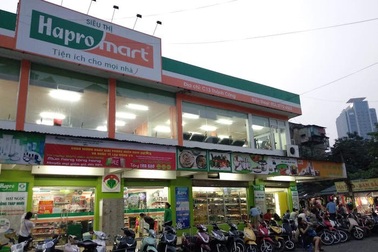 Hapro sau cổ phần hoá: Đẩy mạnh nguồn lực vào xuất khẩu, thương mại dịch vụ