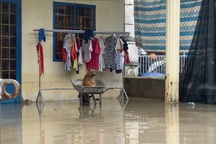 Nhiều người ở Bình Dương không dám ngủ ở nhà vì trận mưa lớn nhất trong năm