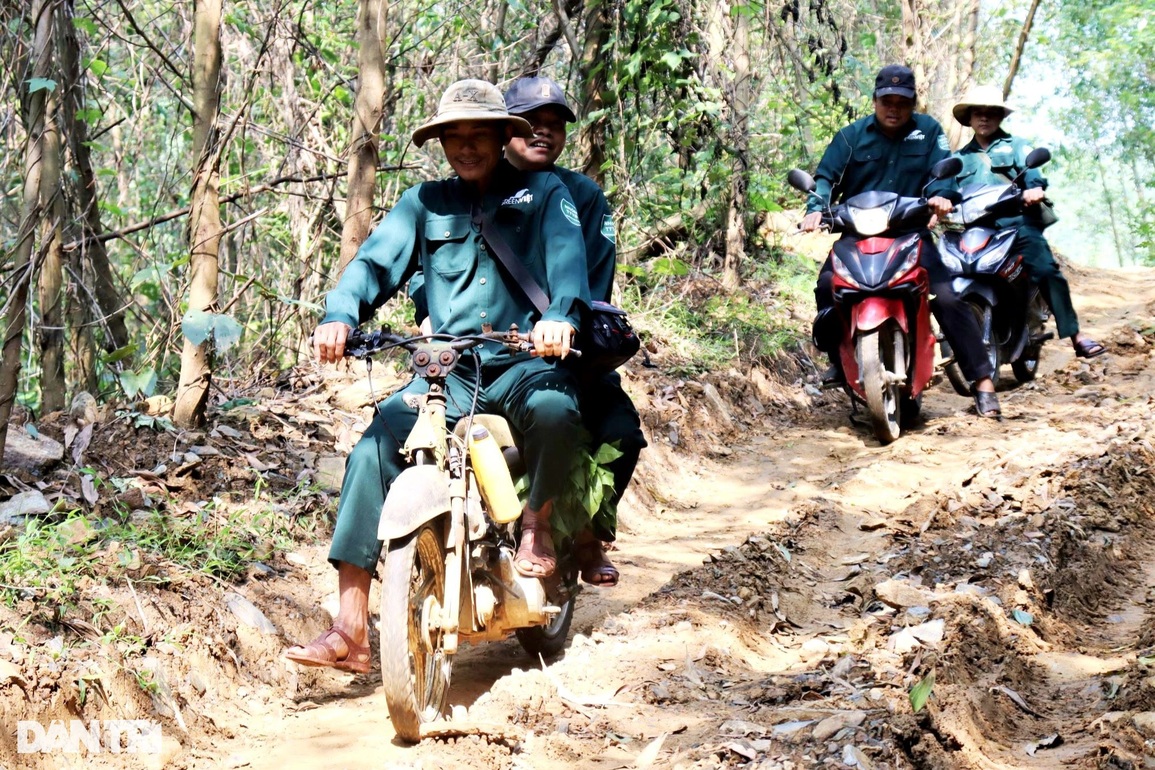 Theo chân những nông dân thứ thiệt bảo vệ đàn voọc đặc biệt quý hiếm - 3 Theo chân những nông dân thứ thiệt bảo vệ đàn voọc đặc biệt quý hiếm - 3