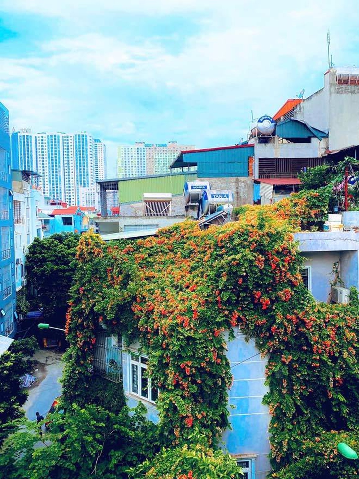 Ngôi nhà Hà Nội bên ngoài phủ hoa, trên sân thượng lung linh sắc màu - 1 Ngôi nhà Hà Nội bên ngoài phủ hoa, trên sân thượng lung linh sắc màu - 1