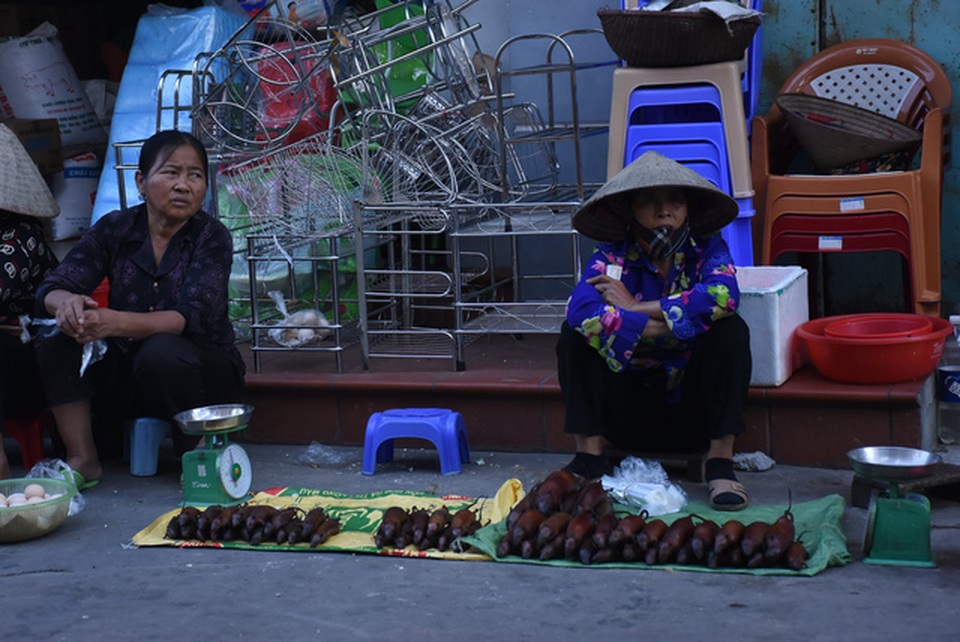 Làng bắt chuột Hải Dương vào mùa đắt hàng - 15 Làng bắt chuột Hải Dương vào mùa đắt hàng - 15