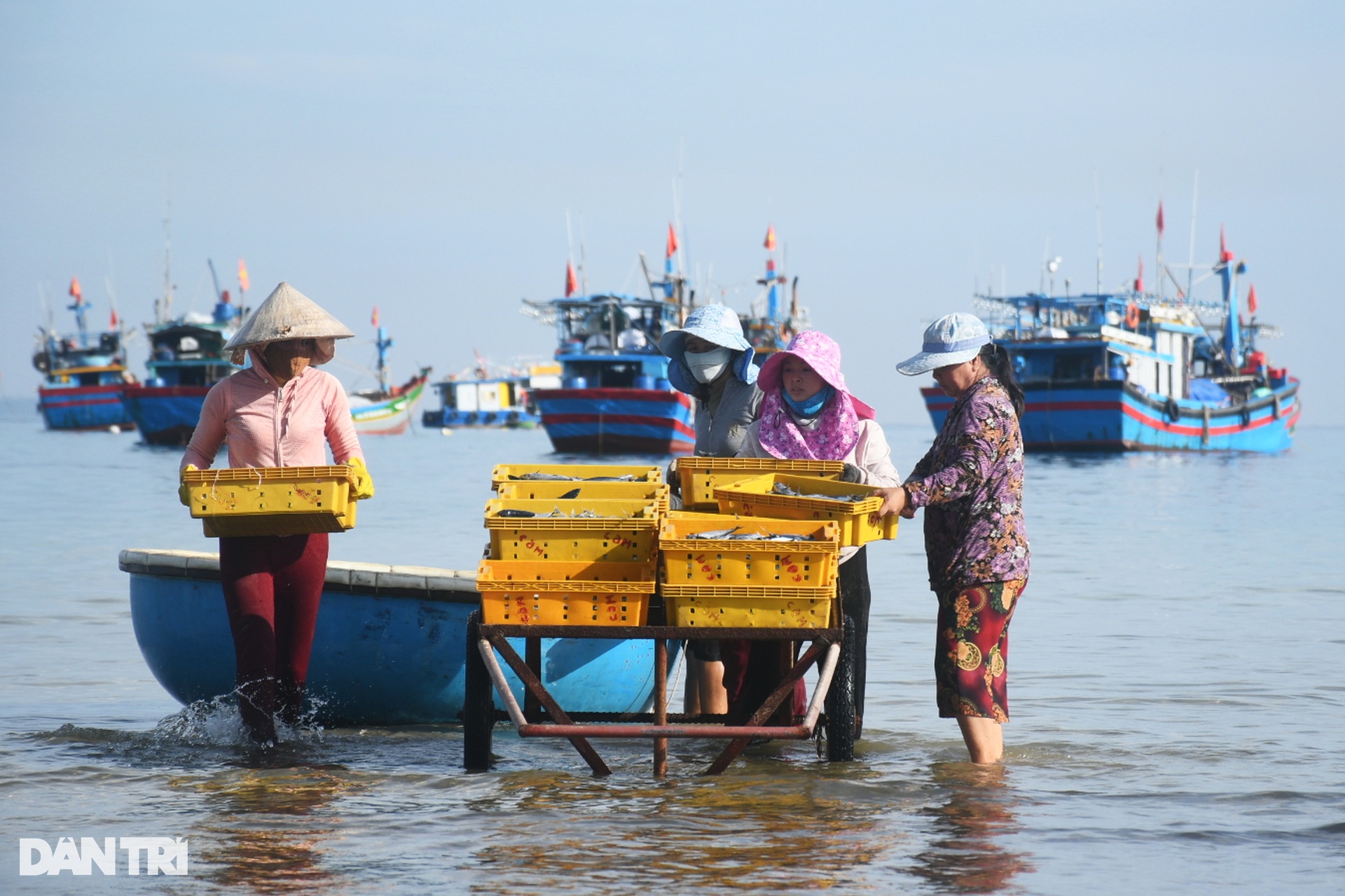 Chợ cá Bình Châu, Bình Sơn, Quảng Ngãi.