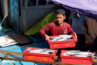 Chấp nhận lỗ cả trăm triệu đồng, ngư dân vượt sóng về tránh bão Kalmaegi