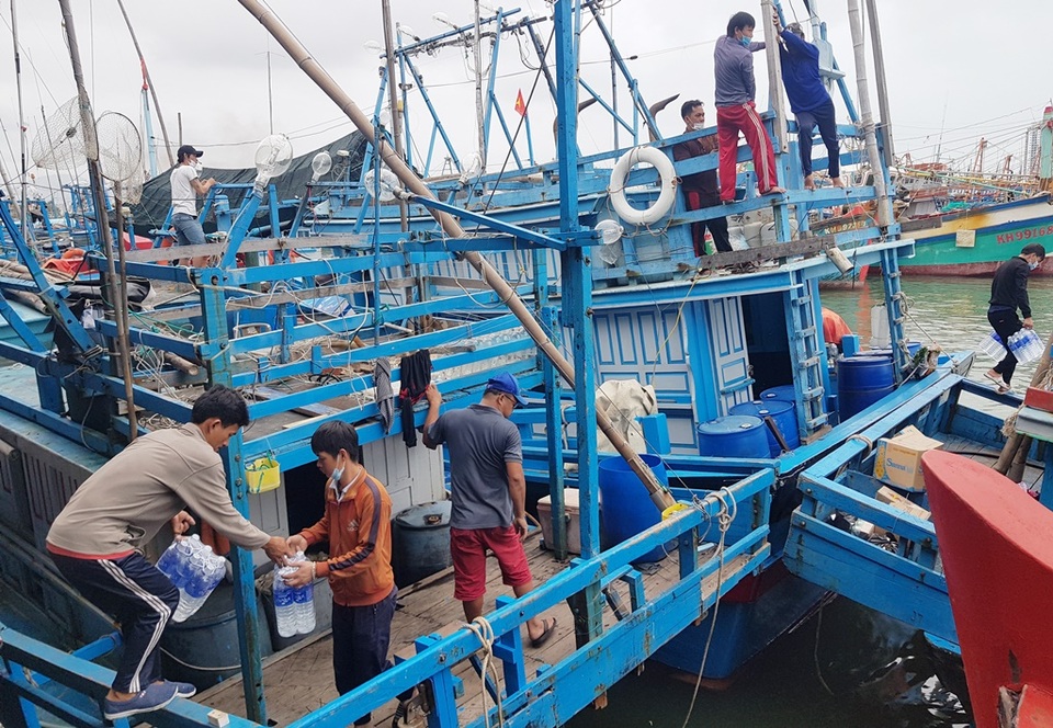 Khánh Hòa: Ngư dân bỏ Tết vươn Trường Sa, bám vụ cá ngừ đại dương - 3 Khánh Hòa: Ngư dân bỏ Tết vươn Trường Sa, bám vụ cá ngừ đại dương - 3