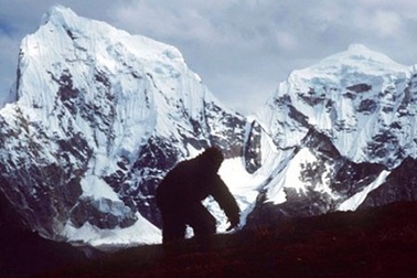 Đã giải mã được bí ẩn về “Người Tuyết”?