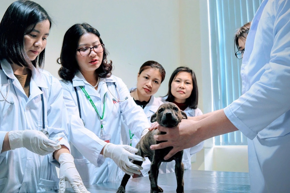 Người tài cần gì khi đầu quân về khu vực công? - 4 Người tài cần gì khi đầu quân về khu vực công? - 4