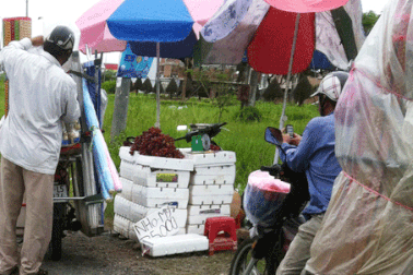 Nho Mỹ... giá chỉ 4.000 đồng/kg!