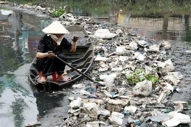 Mỗi trường có 2 giảng viên được tuyên dương về hoạt động môi trường