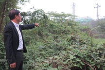 Nghệ An: Có phán quyết của tòa, HĐND tỉnh vẫn ra Nghị quyết thu hồi đất!