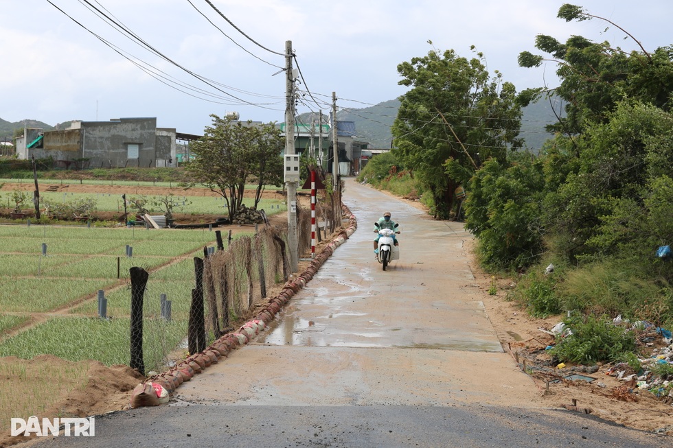 Người dân vùng làm điện hạt nhân mong dự án sớm triển khai, đến nơi ở mới - 4 Người dân vùng làm điện hạt nhân mong dự án sớm triển khai, đến nơi ở mới - 4