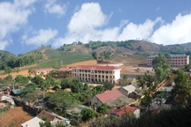 Sự thật thông tin "nữ sinh lớp 11 sinh con rồi thả từ tầng 3 xuống đất"