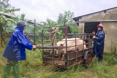 Hồ Kẻ Gỗ tăng lượng xả tràn, nhiều nơi ở Hà Tĩnh lại ngập