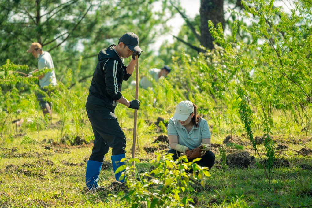 Colline Dalat tiếp nối hành trình Go Green 2026 tại Lang Biang - 6
