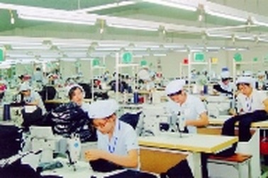 Nhiều doanh nghiệp trốn, nợ đọng tiền bảo hiểm