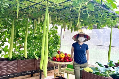 Vườn cảm biến, chăm qua điện thoại, tưới trứng sữa cho toàn quả "khủng"