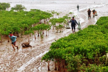 Trải nghiệm bắt ngao, một phụ huynh và học sinh Hà Nội tử vong