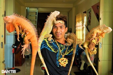 "Đại gia" đeo 50 lượng vàng: Phát tài nhờ nuôi tiểu khủng long