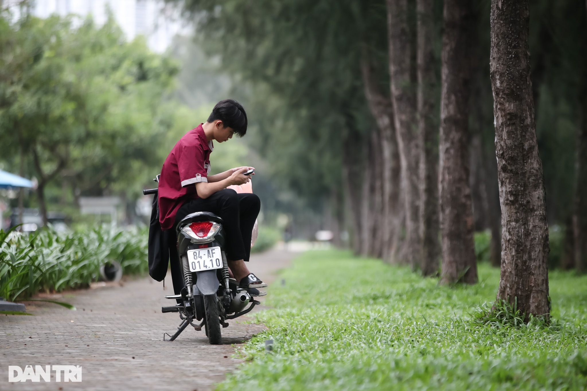 Toàn cảnh khu Trung Sơn được đề xuất mở phố đêm ở TPHCM - 11 Toàn cảnh khu Trung Sơn được đề xuất mở phố đêm ở TPHCM - 11